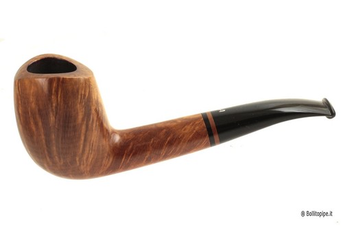 Pipa rodata ascorti - -, b